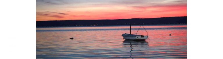 Izložba Jasenke Rogić Roguljić