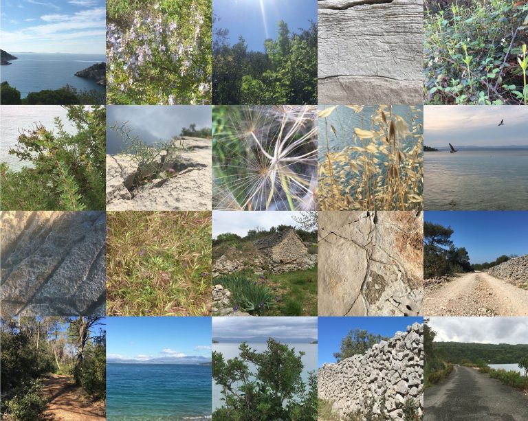 Izložba <em>Prizori s otočnih šetnji</em> Nere Dešković