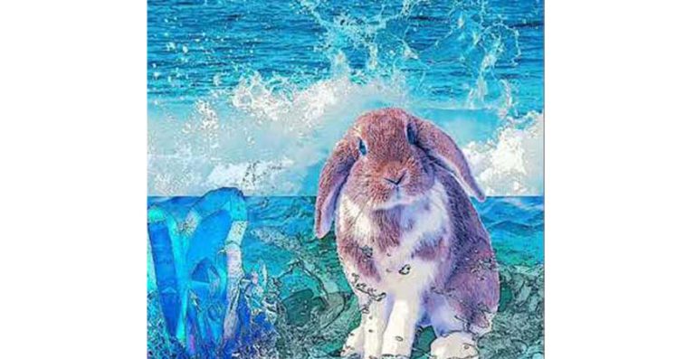 MALA ČAROBNA ČITAONICA, Zec koji je prešao more